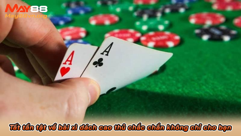 Tất tần tật về bài xì dách cao thủ chắc chắn không chỉ cho bạn