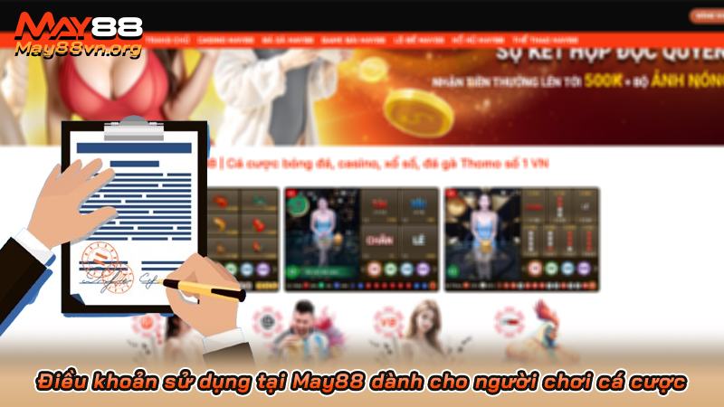 Điều khoản sử dụng tại May88 dành cho người chơi cá cược