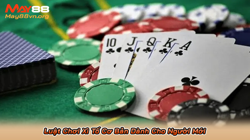 Luật Chơi Xì Tố Cơ Bản Dành Cho Người Mới