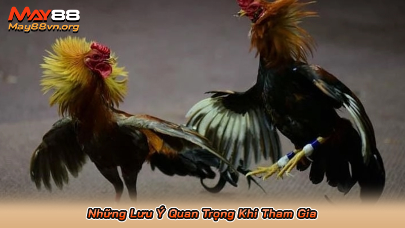 Những Lưu Ý Quan Trọng Khi Tham Gia