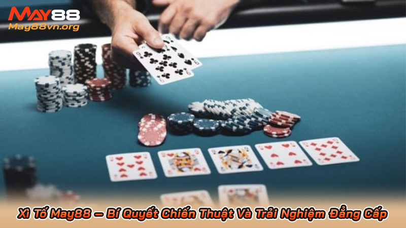 Xì Tố May88 – Bí Quyết Chiến Thuật Và Trải Nghiệm Đẳng Cấp