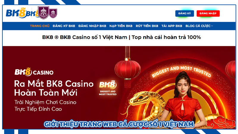 Nhà cái Bk8 - Kinh nghiệm thực chiến và đánh giá chuẩn xác 3 Kinh Nghiệm Thực Chiến Từ Cao Thủ